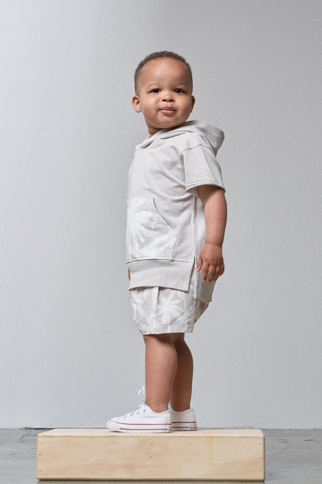 Short Sleeve Raw Edge Hoodie - Frost
